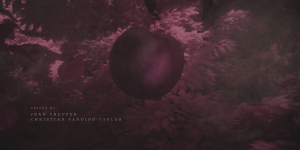 8540e956006272415901cfcf901ba2aa.png