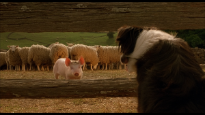 509fbf8745f26a4042ddec527b5db871.png