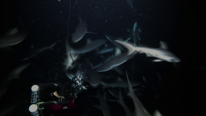428e036d9c97e0a57e8add7c4c2be490.png