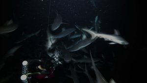 afebd42b74b0d9290d0a88663740e0ba.png