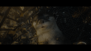 18138c4a14b321236e9a9d4f9caef807.png