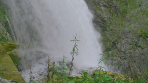4afb4ede0f4d781872c3017f973bc3ef.png