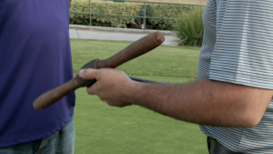 8637dff06440ec393ccf71671a640014.png
