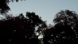 e66b4ebc49fe25d796a6be5b7a3e6076.png