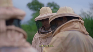 324b023f00dfcc1c4ae8b6133cfc0b23.png