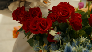 cb388ff2fb88223f1c9f468cc265335a.png