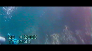 a0132214f382608a135d05da3507151b.png