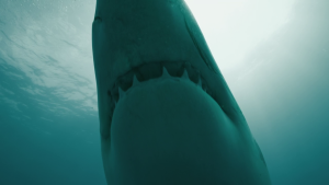 effaf9d815fc007f4483c57629b426d5.png