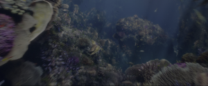 fb7dc7d5b5737da9313bc0f5ba102c80.png
