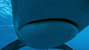 7adf45ac75a9b71c8e2c2f2fd5192623.png