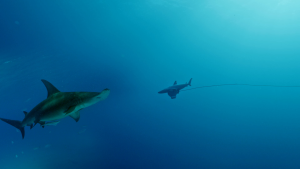 400fefd322f31765b6ce183041bb89f7.png