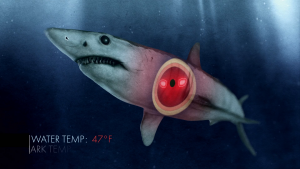 76e6ffba2835f11ce26dce8ef97d8116.png