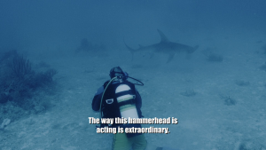 b6f2f6a8f9e00f62075064cf401987d2.png