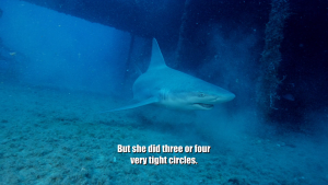 cd8519d2efdf6f0a843e4d0dc09bd83e.png