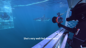 49b24931466d07cc6e6796de2f67184c.png