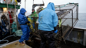 379f7edd843a0286451f4ee92cc9d8c8.png