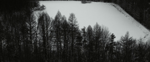 349a8f88bbac1c19301d70ab7c82bec2.png
