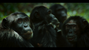 197355a0fac0eb727e5089032f9f05f4.png