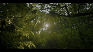 9cac13a042c2ca4c00dd6b111781fc42.png