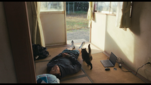 2eaf9b69e2477e0f7ce7f9746ef2e84e.png