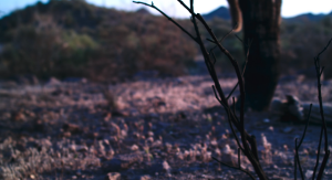 ffbbbe0792e842cd75f66ef7bc75787a.png