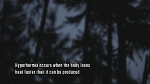 c4effdf5a965db925ea86bd1e886f64e.png