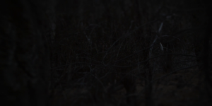 9b12a09c0086355963a47a8ab089bf64.png