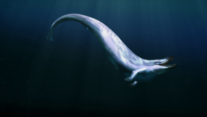 80f15ee759e705be1f39c13cfdc5e9b0.png