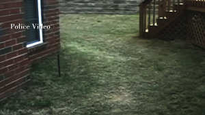 154b9006f488d874b65a1ce4bf2914e5.png