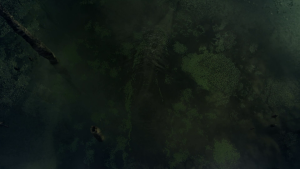 5ff3e0162de3cad793006ae2ce78c8cf.png
