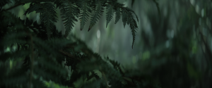 0703a21a5d001c87eb807388f8b87de9.png