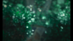 d455b5091ccd4a556c151c9cbaa70be5.png