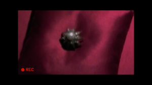 6f7b8ea39c93c74494c9f73f7d8841f2.png