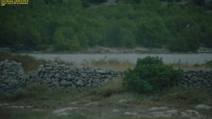 ad341f59c85c01857d490a1317c6ac36.png