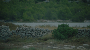 c0d9ae3bca8ab523fbf2846fbd2d6793.png