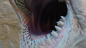 5e31f493dcb1607d3647002562b95591.png