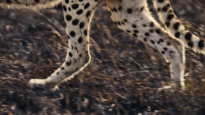 e10a77b5240308433352e51a71bccb39.png