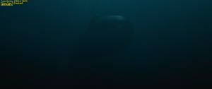 1d0f4ffa06b547b9d6f9e7031c55a111.png