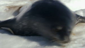 4f53940bb8f1fe642e4001f50efe6296.png