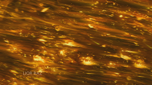 ce9efad2e00f5b55b3919a9f1b1b74c2.png