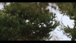 efcff2ae1b18cf4b85e313b233aceb36.png