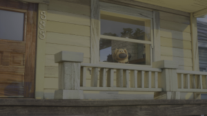 1d0c773d233dc27c1fbd224cdcd4b20a.png