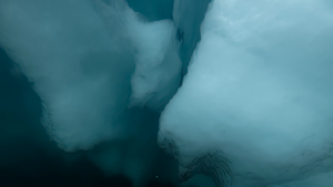 4d4fcb8e5d6a7723d58630ea6a1ae70b.png