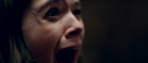 4fdb75f1e42506cf989a05a788e58ea2.png