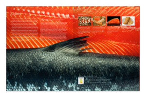e414081820bd0eb0dfa36ee5129c814c.png