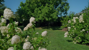 81cdf470dc50956a68fe4f5770d66b76.png