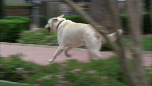 8ff7ff7dea01c0adc4bc4a267574f265.png
