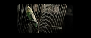 e8868bbd01d071e1dab3a577aab1d493.png