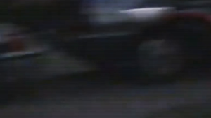 fffd1ae995a1b5a555d2fe220575164e.png
