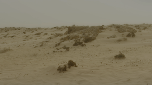 0013eb1dd7a546604f1a59f89799531e.png